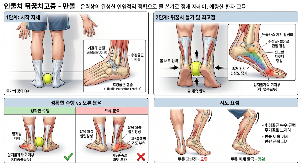 공 끼우고 뒤꿈치 들기 (Inversion Heel Raise) 운동 환자 안내 가이드